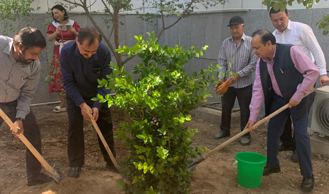 Embassy organized tree plantation campaign at Chancery premises on World Ozone Day (16 September 2025)